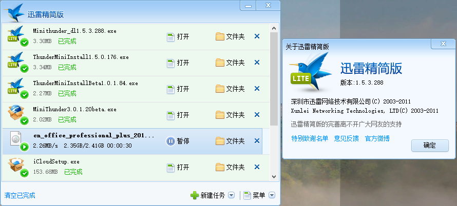 你见过无广告的3Mb的迅雷么？